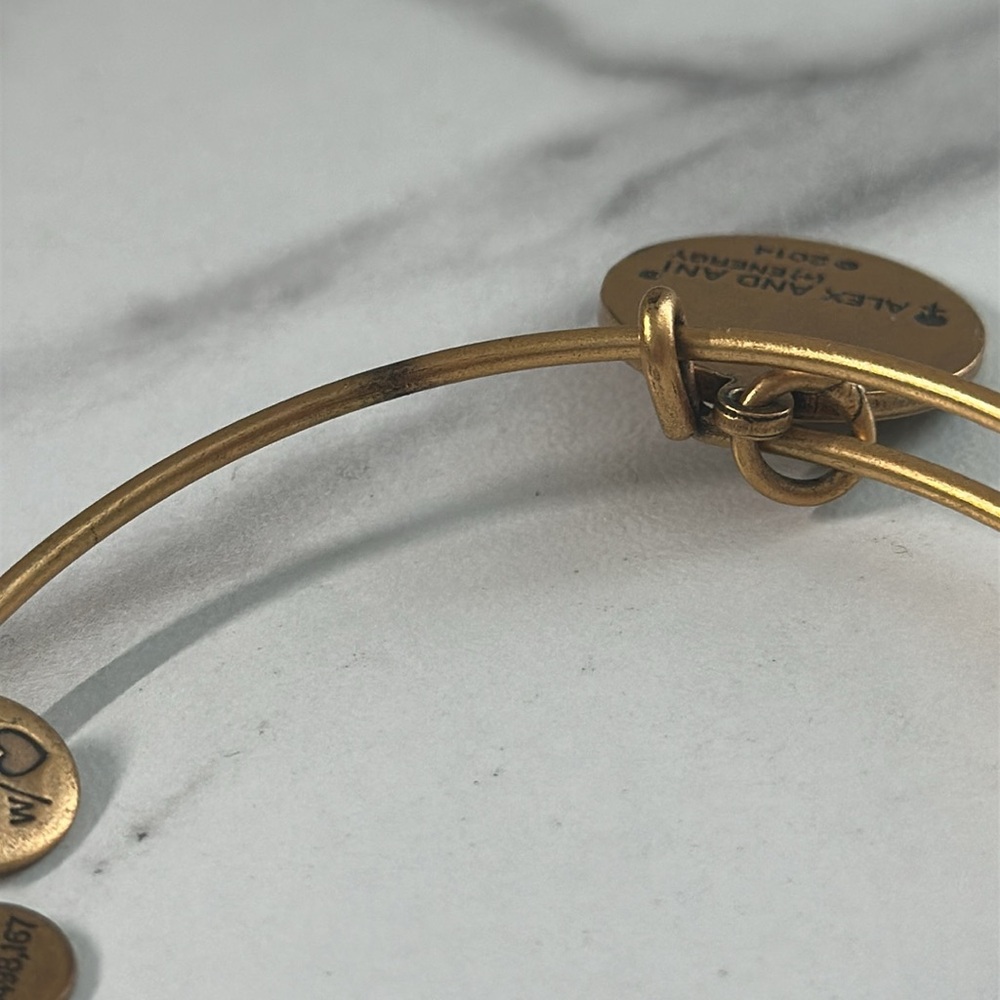 Pre owned Alex and Ani 2014 Charm Bangle Bracelet - Picture 11 of 13